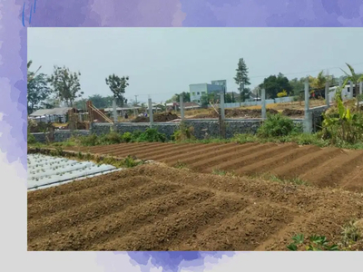 Tanah Joyoagung Malang Dekat Dengan Kampus Unisma, Harga Murah