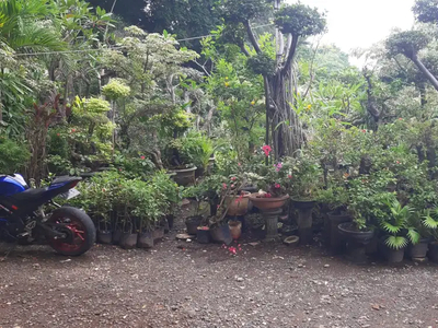 Tanah Kavling Di Lintas Asem Pondok Kelapa Jakarta Timur