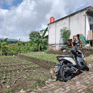 Tanah Kavling Murah subur di Temas Kota Batu