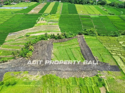 Tanah Kavling Pantai Kedungu Tabanan