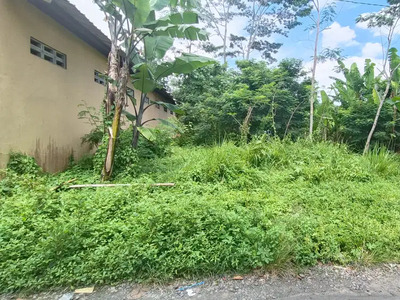 Tanah kosong Berkoh dekat terminal, RS Margono Purwokerto