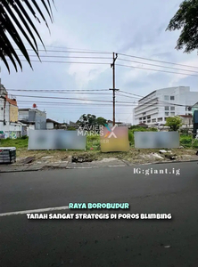 Tanah Luas Lokasi Strategis di Poros Jalan Borobudur Blimbing Malang