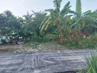 TANAH SIAP BANGUN BEBAS BANJIR