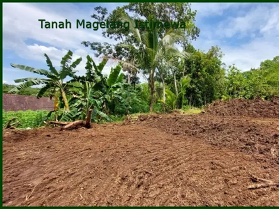 Tanah Terbaik Dekat Kantor Kec. Tempuran Magelang, SHM-P