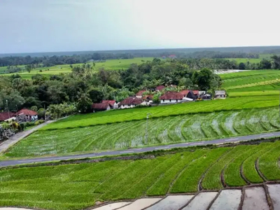 Tanah View Laut & Sawah Pantai Abian Kapas Tabanan