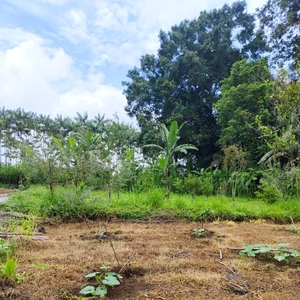Dijual Tanah Kebun Murah Cocok untuk Investasi Di Ubud