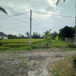 Dijual Tanah Premium Di Ubud view Sawah