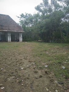 Disewakan Tanah Cocok Untuk Usaha di Pusat Kota Probolinggo