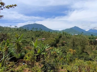 For sale land with beautiful view in munduk