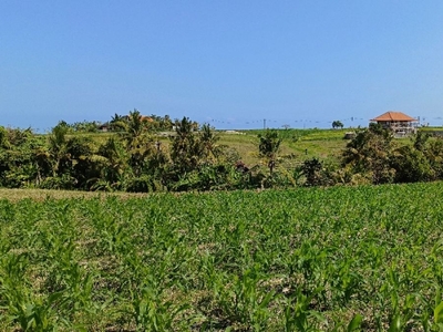 TANAH DEKAT PANTAI HARGA 800 RIBU PER METER DI BALI.