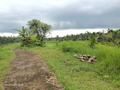 Tanah Harga Murah Bisa Untuk Peternakan Di Tabanan Bali