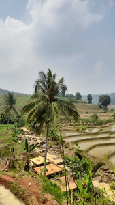 Tanah kavling wisata murah view pegunungan dibogor