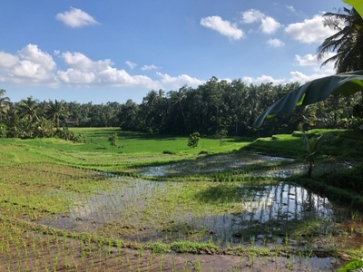 Tanah Kebun View Sawah Dekat Kota Tabanan Bali