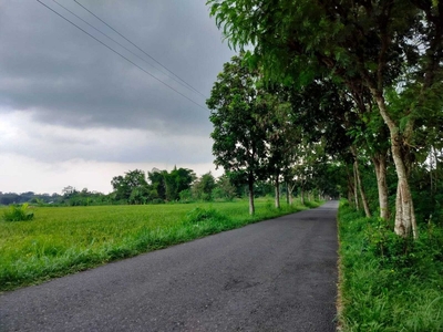 Tanah Murah Sleman, Di Palagan, View Merapi; Kawasan Villa