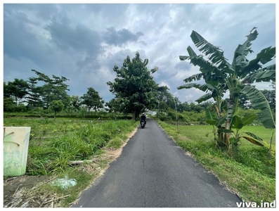 tanah murah sleman jogja 400 meter jl palagan dekat hyatt UII UGM