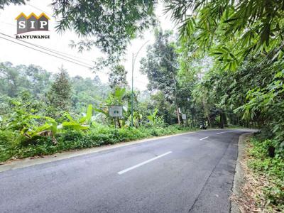 Dijual Tanah pinggir jalan terasering dijalan raya licin banyuwangi