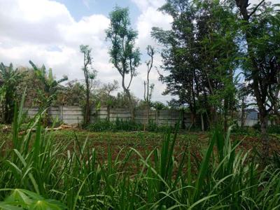 Tanah Cemorokandang Malang
