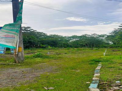 Tanah sengon belakang perumahan