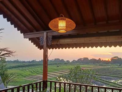 Villa Full View Rice di Tiying Tutul Badung