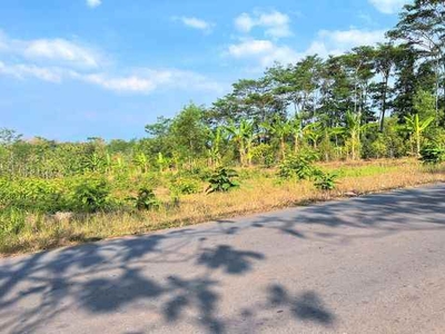 Tanah 1 Hektar Tepi Jl Raya Kerjo Karanganyar
