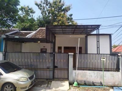 Dijual Rumah Ngaliyan SHM Siap Huni 4 Menit Jalan Raya Semarang-Batang