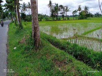 Tanah murah pinggir jalan raya view bagus.