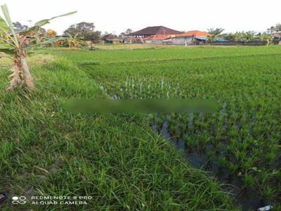 TANAH SEWA SIAP BANGUN VILLA VIEW SAWAH CANTIK