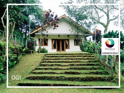 Villa Murah Puncak Luas Tanah 1783 m2, Ciawi Bogor