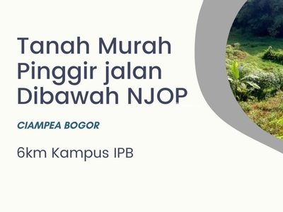 Dijual Kebun Alpukat Murah Dibawah NJOP Luas 10.123 m2 Dekat IPB Dramaga - Bogor