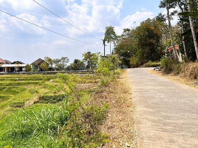 Dijual Tanah Luas 1000m2 SHM Siap Dibangun Villa Karangpandan - Karanganyar