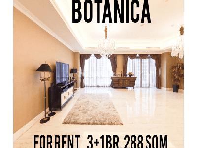 Botanica For Rent, 3+1 Br,288 Sqm,usd 4.000 yani Lim 08174969303