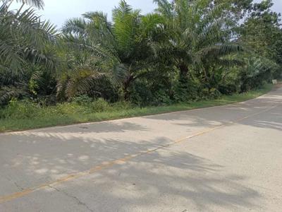 Bismillah lahan SHM TERMURAH di Jalan Poros IKN Desa Bukit Raya Sepaku