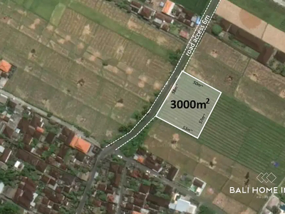 30 ARE STREET FRONT LAND FOR SALE LEASEHOLD IN KEDUNGU BALI - RF3770