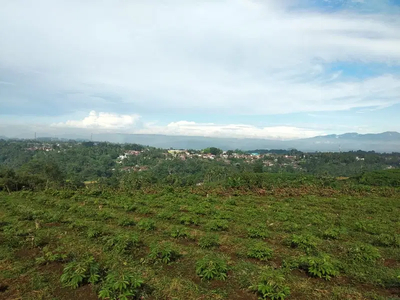 di jual tanah Nagrak Sukabumi