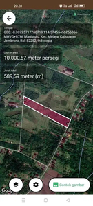 Kebun super,luas 1 hektar manistutu melaya