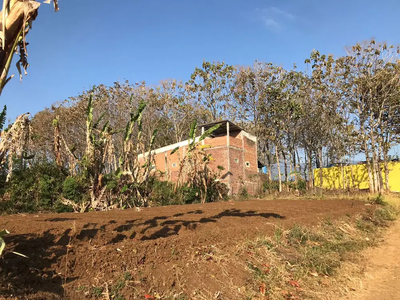 Tanah Dijual Pringgondani Kota Malang Murah Dekat Unisma