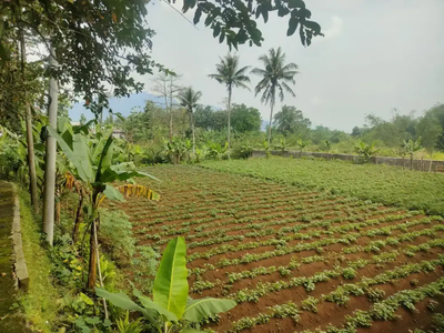 Tanah Komersial Potensial