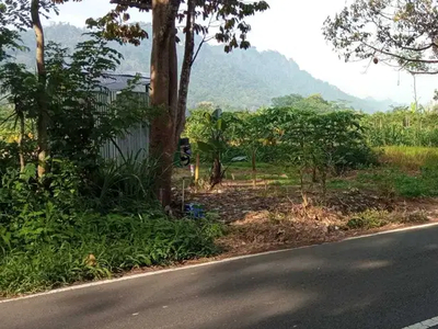 Tanah Mangku Jalan Raya di Borobudur, Magelang ;; View Perbukitan.