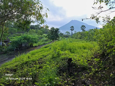 Tanah Murah dekat Amed, Bali