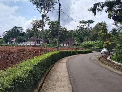 Tanah Murah Lokasi Istimewa Untuk Perkebunan di Jumapolo