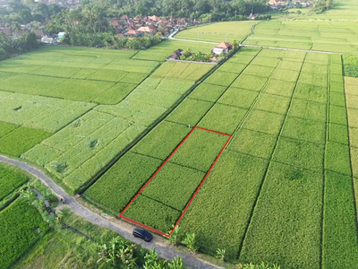 Tanah Pantai Pasut Tabanan Dekat Villa Keong View Sawah