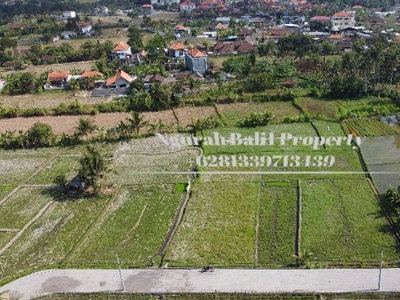 Disewakan Tanah Murah Luas 500 m2 Kawasan Villa di Ubud