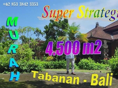 Tanah 45 Are dengan Bangunan ini Dijual Super Murah