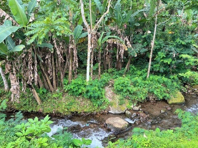 Tanah Dekat Sungai Cocok Untuk Villa Kemuning Karanganyar