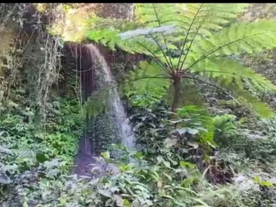 tanah kebun dengan air terjun di lahan view sawah dan jungle di bali