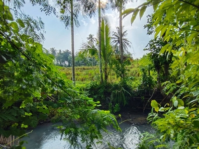 tanah murah los sungai dan view sawah dekat pantai balian di bali