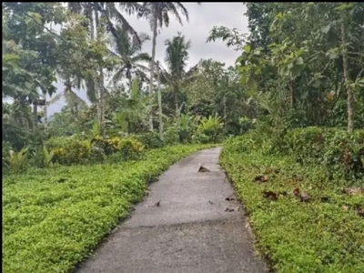 tanah view sawah contour datar dekat jalan utama.