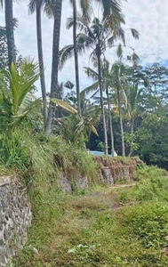 Tanah view sungai dan jungle di Tegallalang Ubud dekat Alas Harum Bali