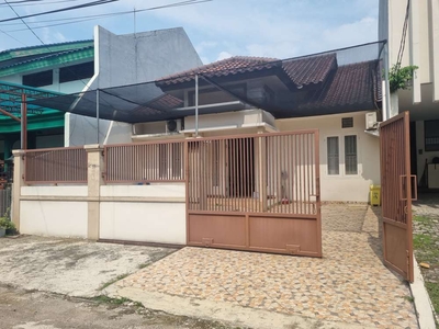 Disewakan rumah 1 lantai Anggrek loka Bsd city