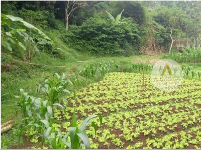 Jual Tanah Luas Cocok untuk Villa di Cisarua Bandung Barat